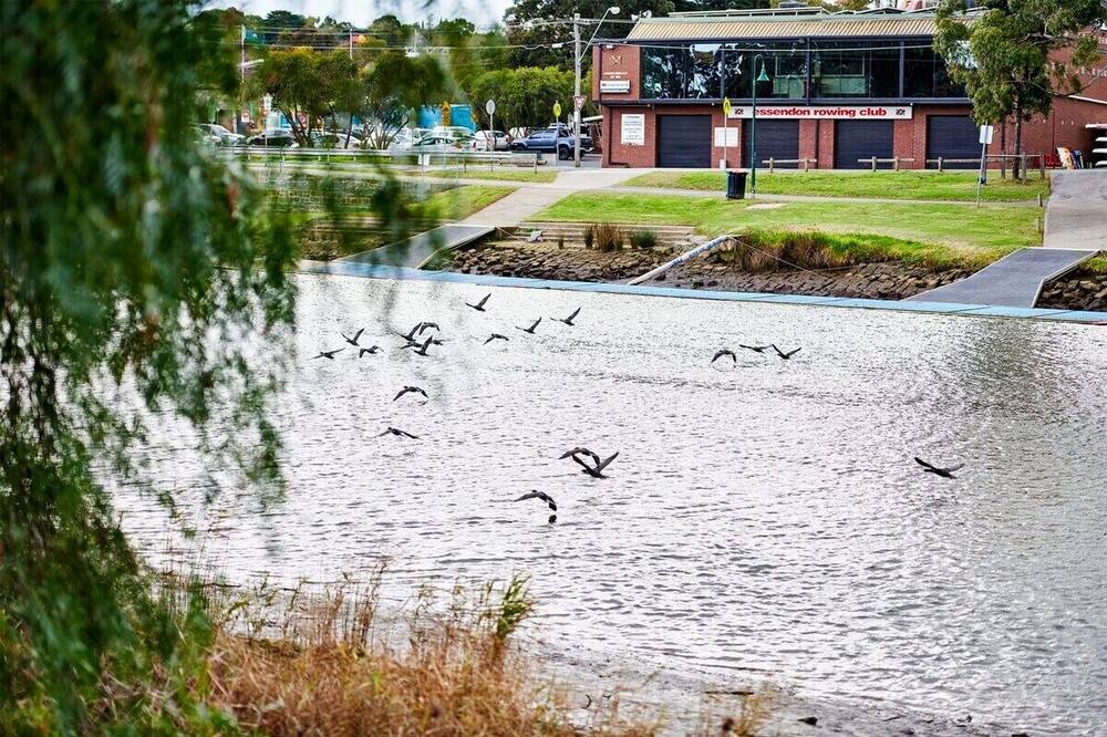Photo of Others in Moonee Ponds