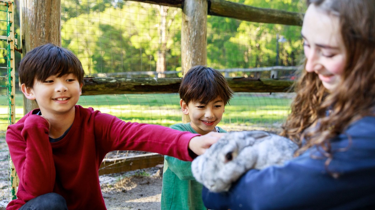 Photo of Others in Beedelup