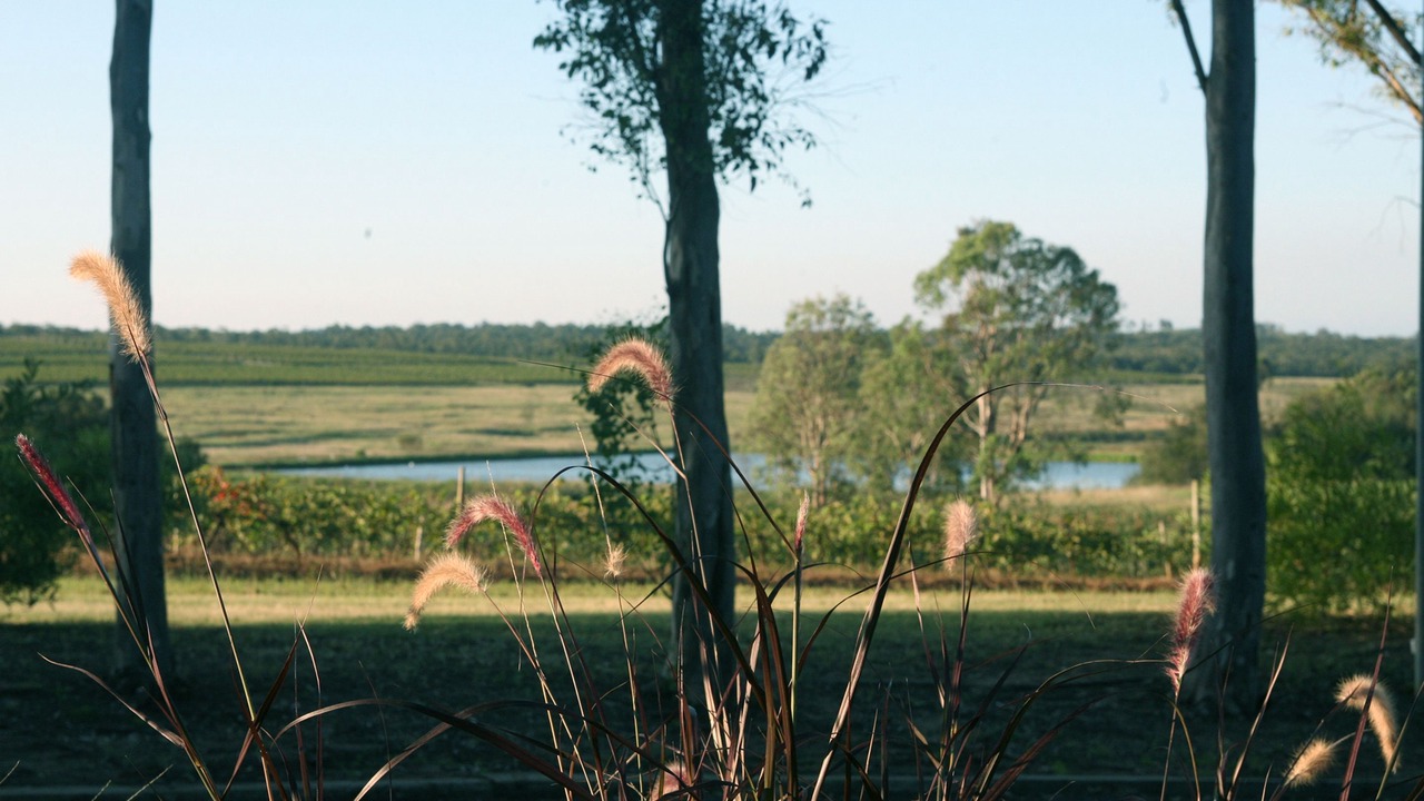 Photo of Outdoor in Pokolbin