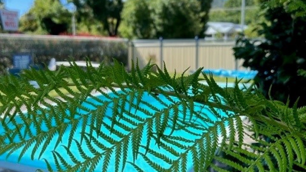 Photo of Outdoor in Bright