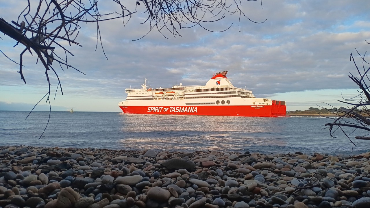Photo of Others in Devonport