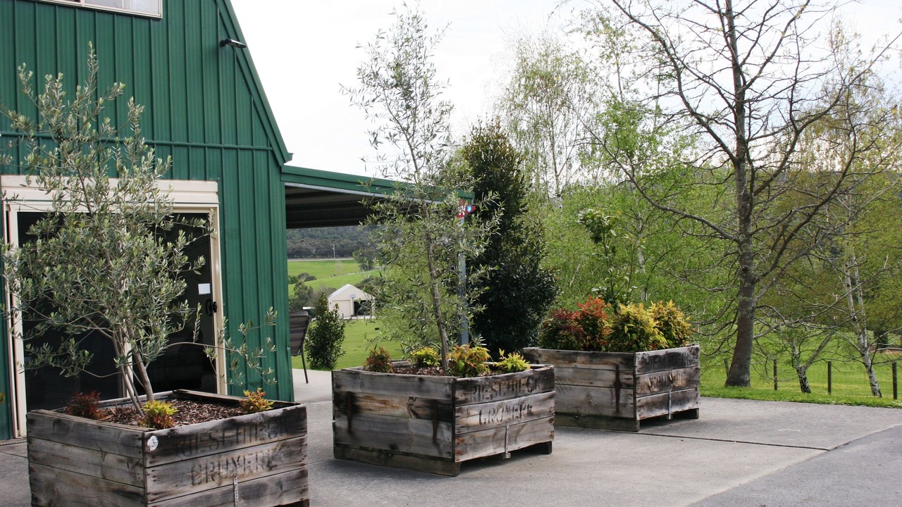 Photo of Others in Chum Creek