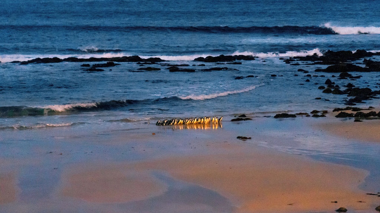 Photo of Others in San Remo
