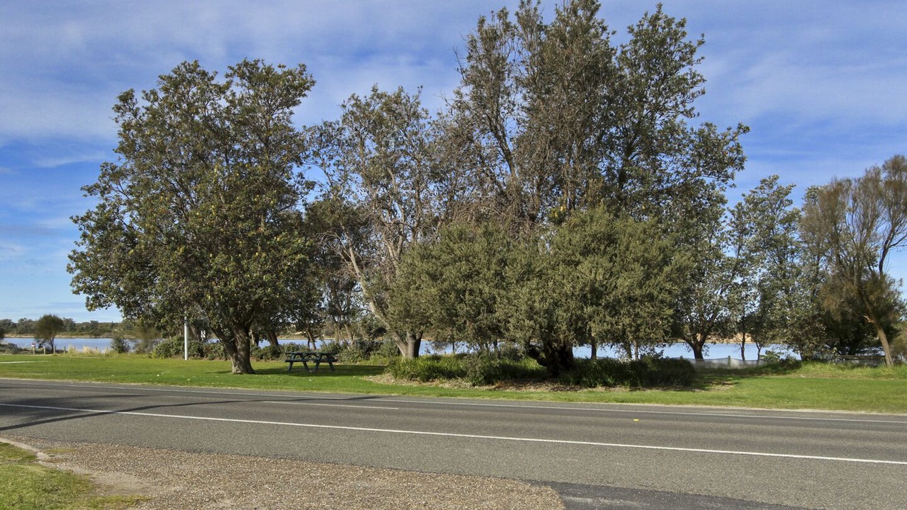 Photo of Outdoor in Lakes Entrance