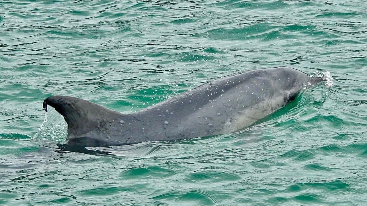 Photo of Others in Lakes Entrance