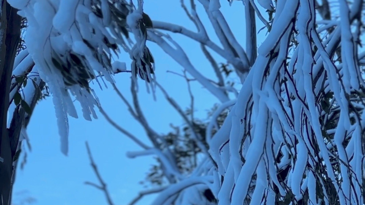 Photo of Outdoor in Jindabyne