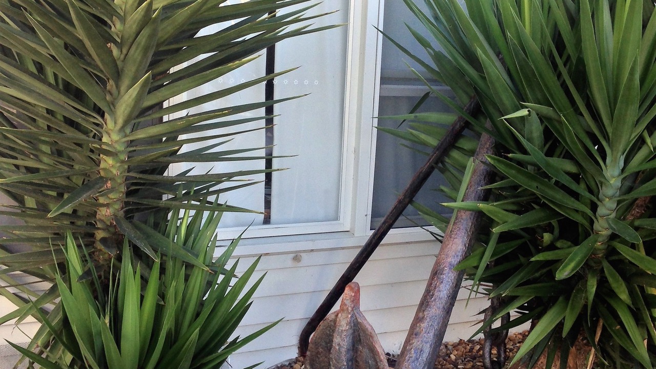 Photo of Outdoor in Queenscliff