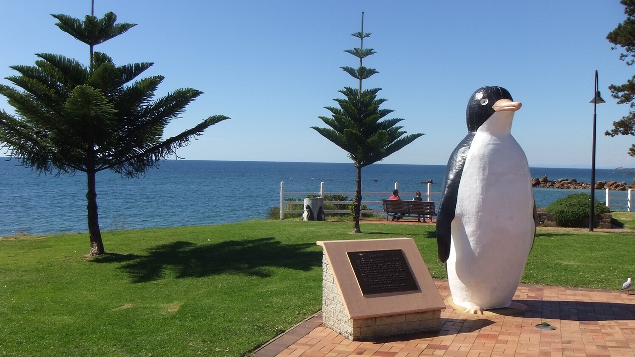 Photo of Others in Penguin