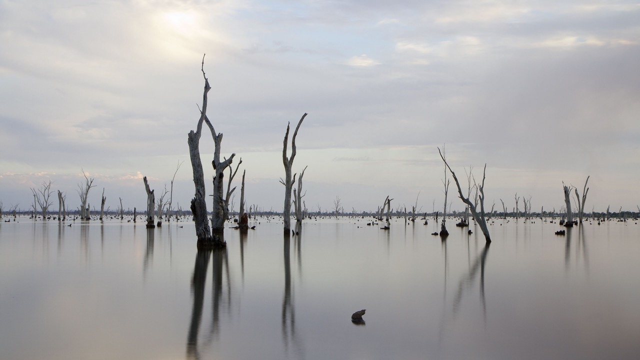 Photo of Outdoor in Yarrawonga