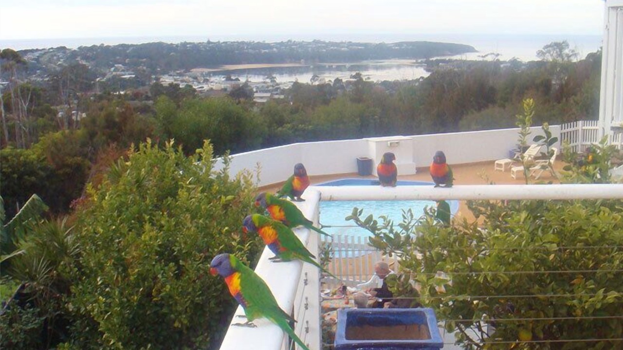 Photo of Bedroom in Merimbula