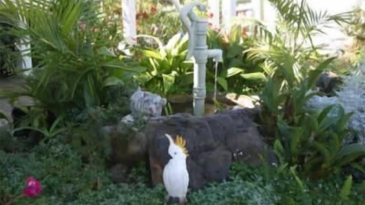 Photo of Outdoor in Merimbula