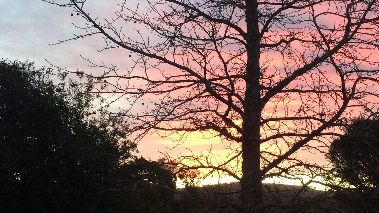 Photo of Outdoor in Pambula