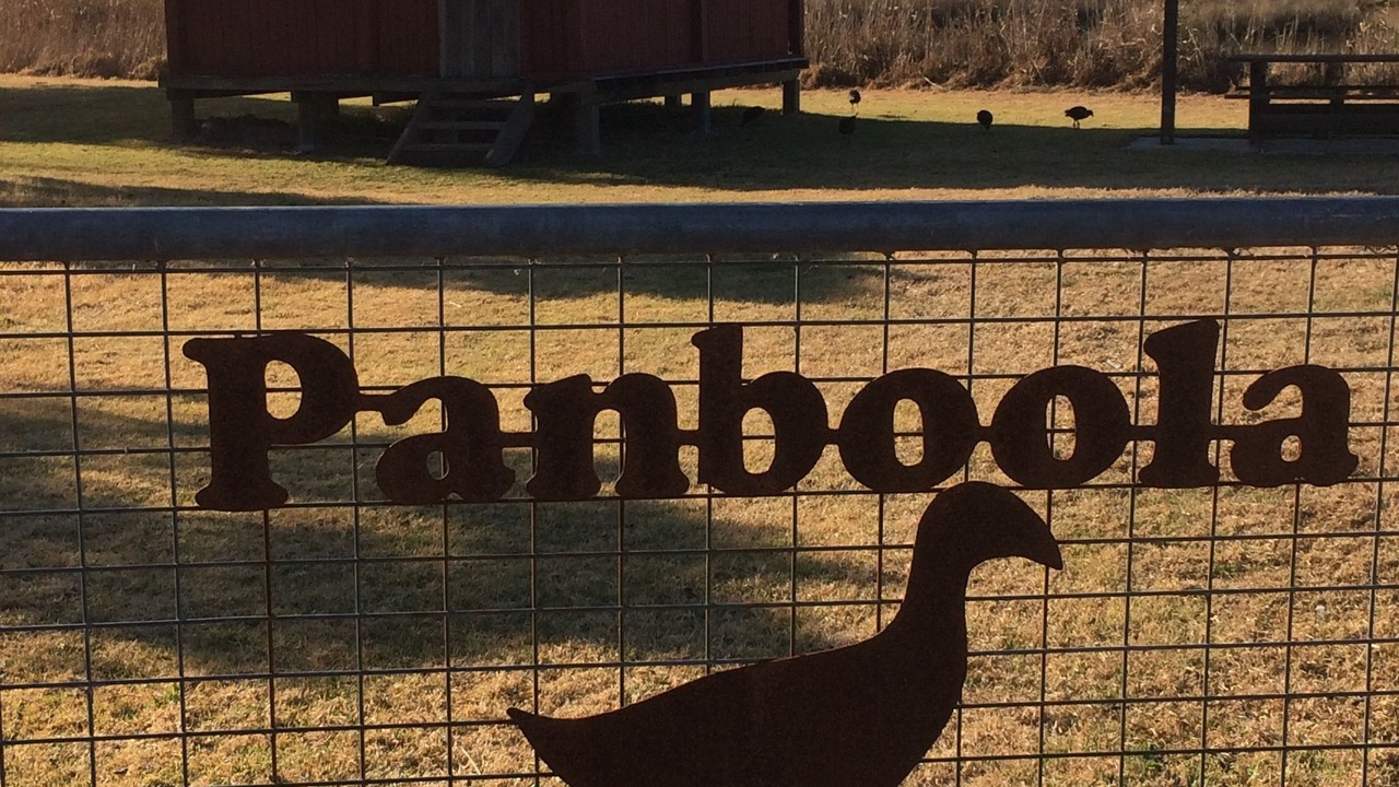 Photo of Outdoor in Pambula