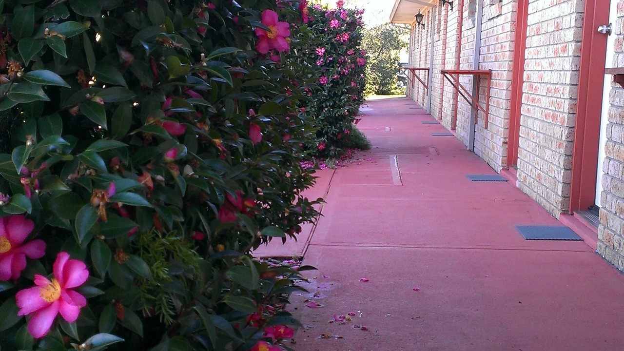Photo of Outdoor in Pambula