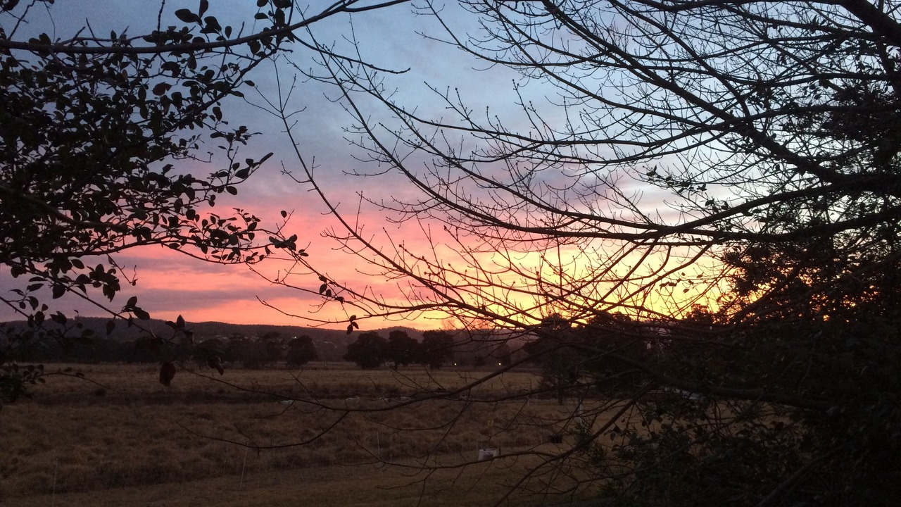 Photo of Outdoor in Pambula
