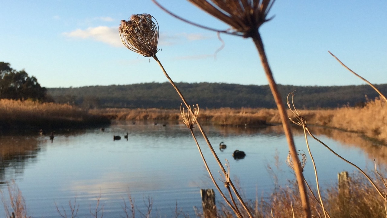 Photo of Outdoor in Pambula