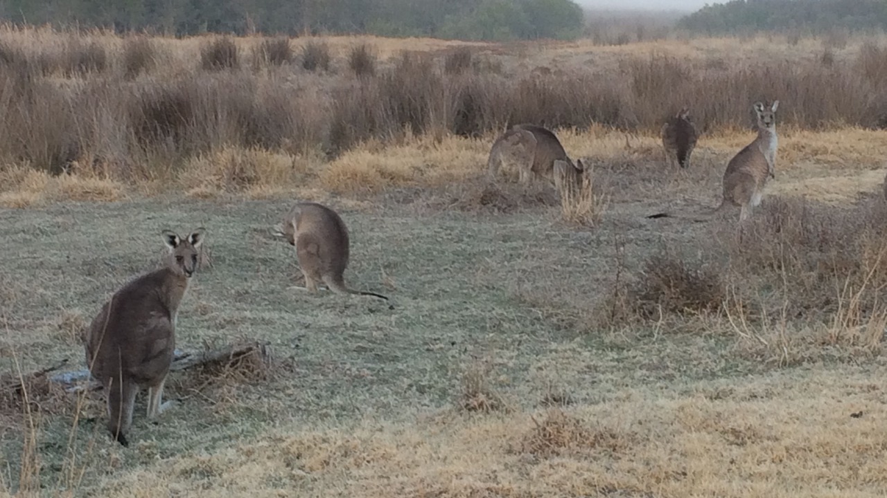 Photo of Outdoor in Pambula
