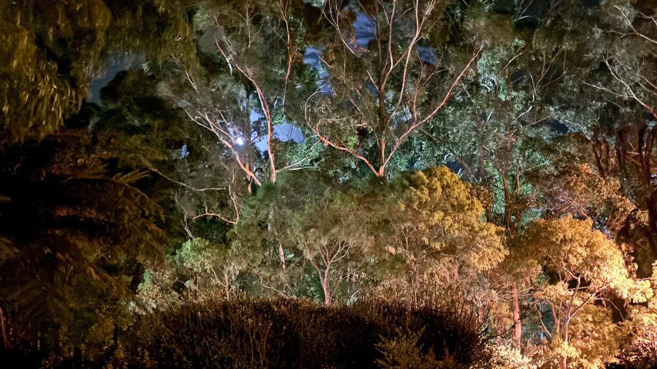 Photo of Outdoor in Margaret River