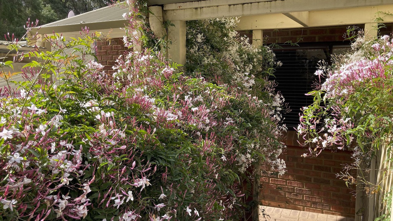 Photo of Outdoor in Margaret River