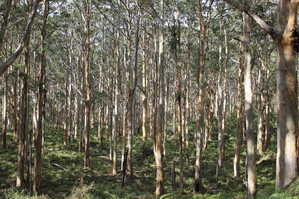 Photo of Others in Margaret River
