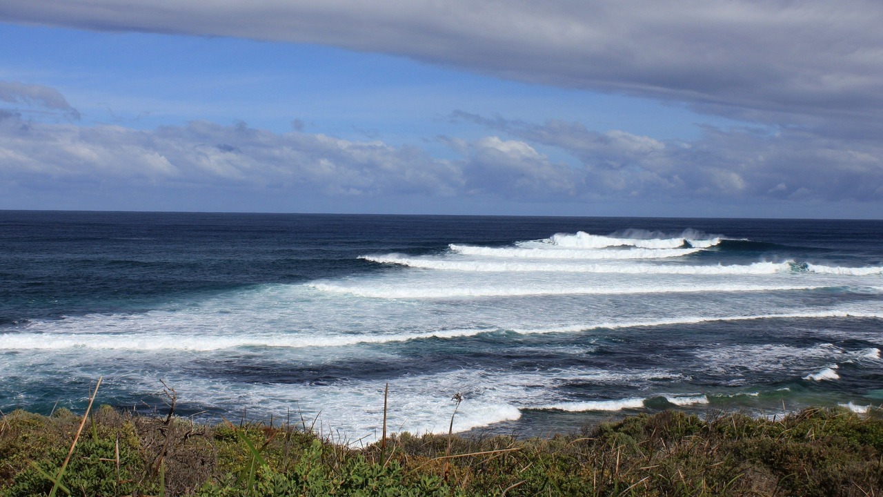 Photo of Others in Margaret River