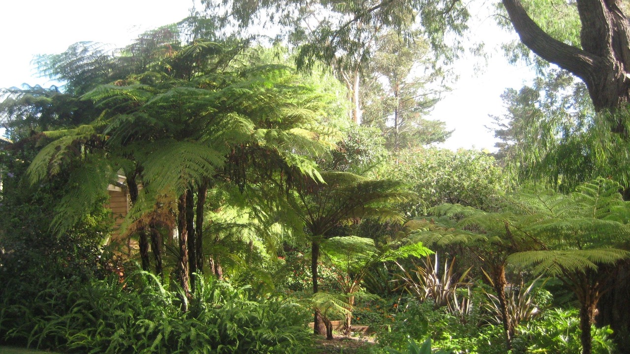 Photo of Outdoor in Margaret River