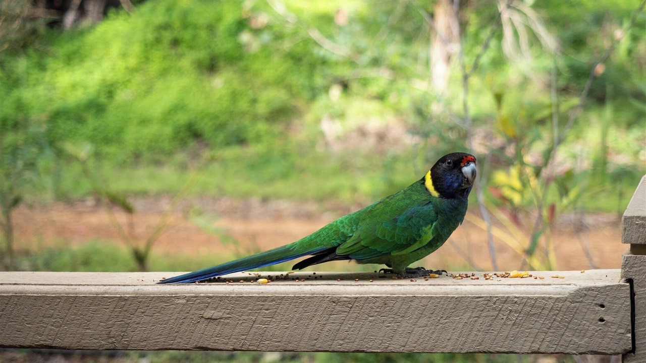 Photo of Outdoor in Margaret River