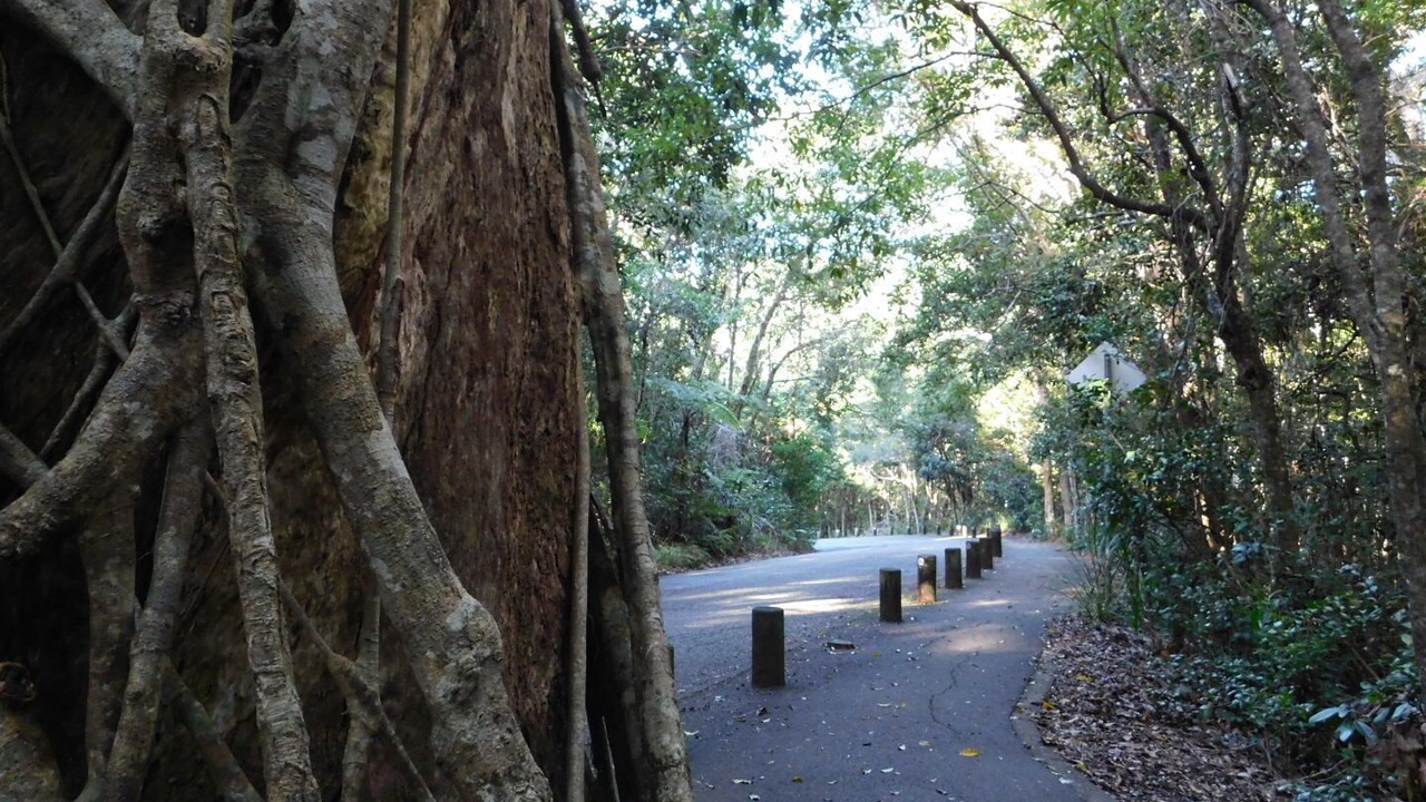 Photo of Others in Port Macquarie