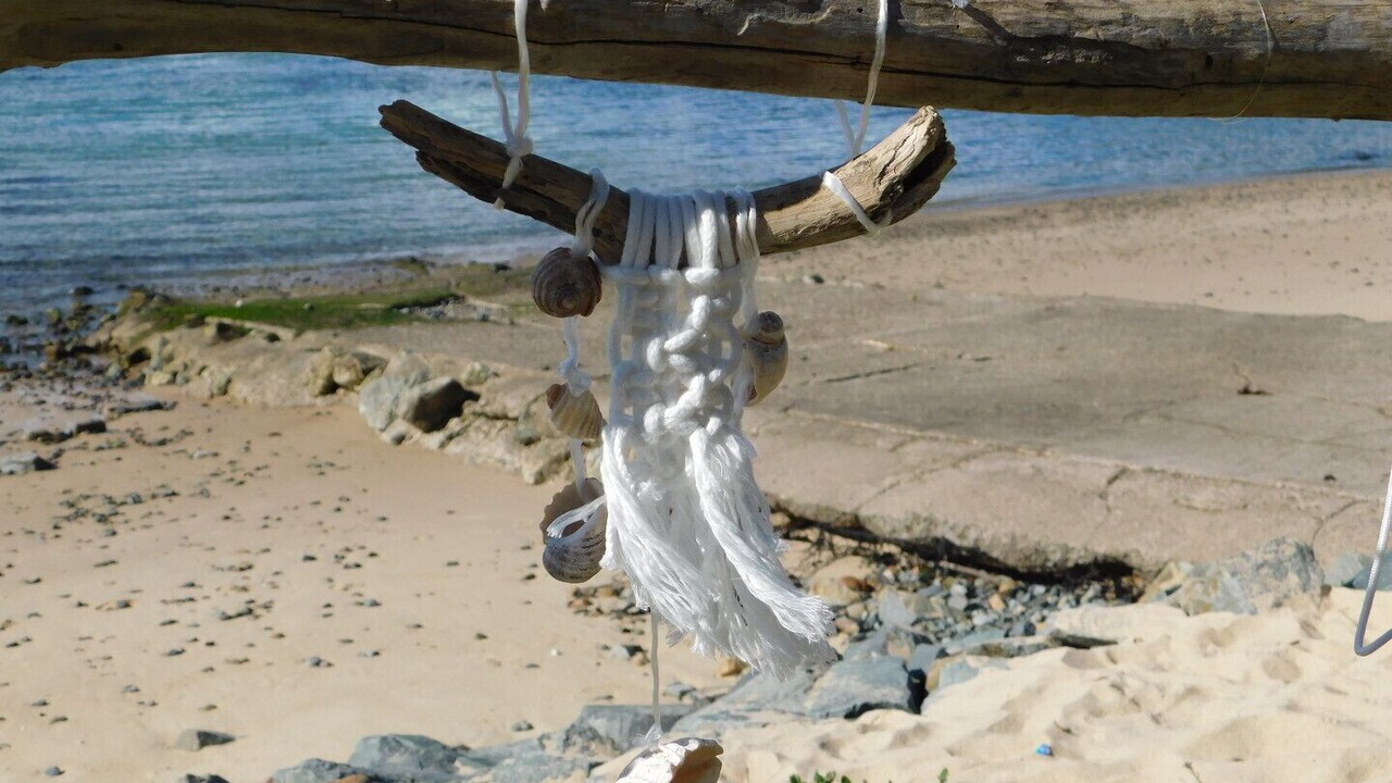 Photo of Others in Port Macquarie