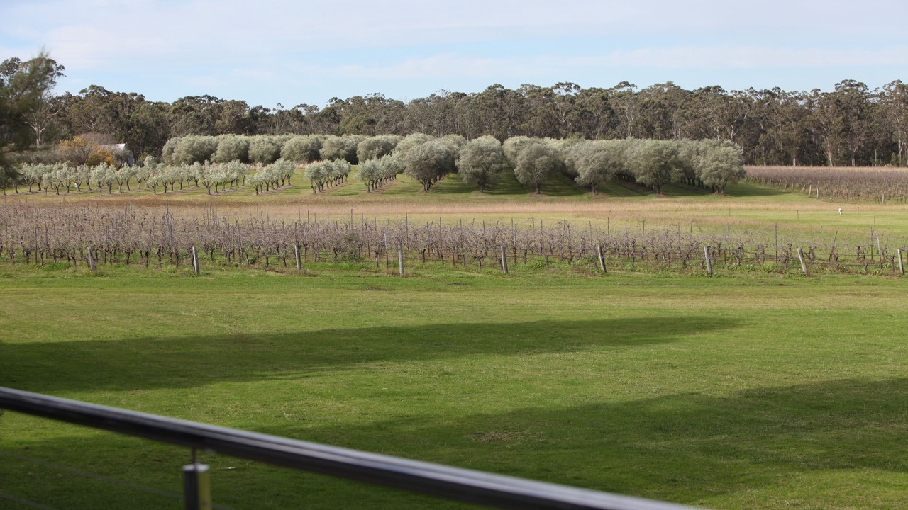 Photo of Patio Balcony in Lovedale