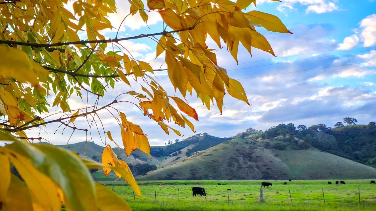 Photo of Outdoor in Eildon