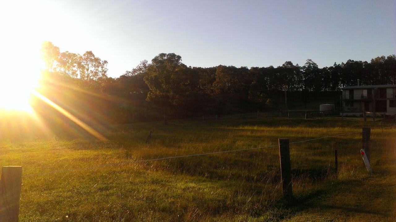 Photo of Others in Lovedale