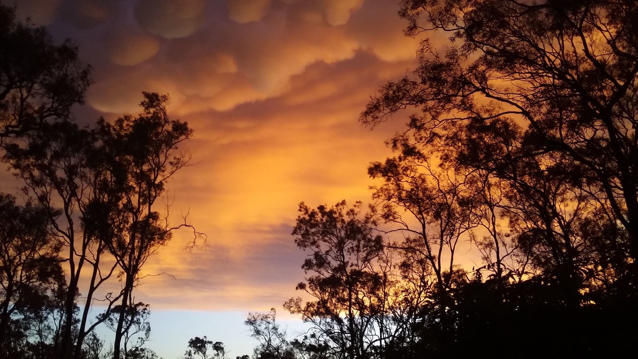 Photo of Others in Lovedale