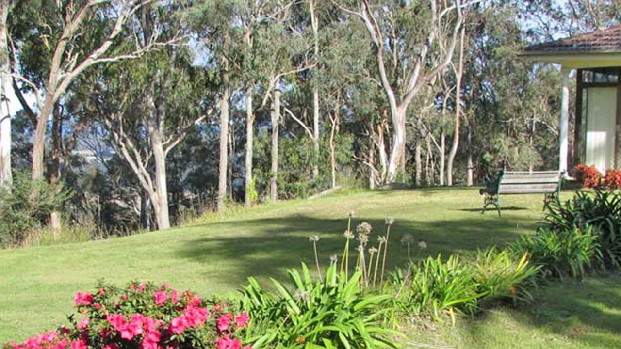 Photo of Others in Lovedale