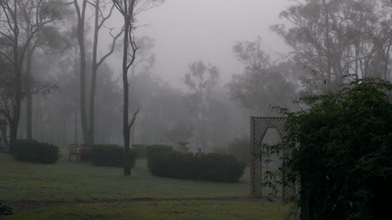 Photo of Bedroom in Lovedale