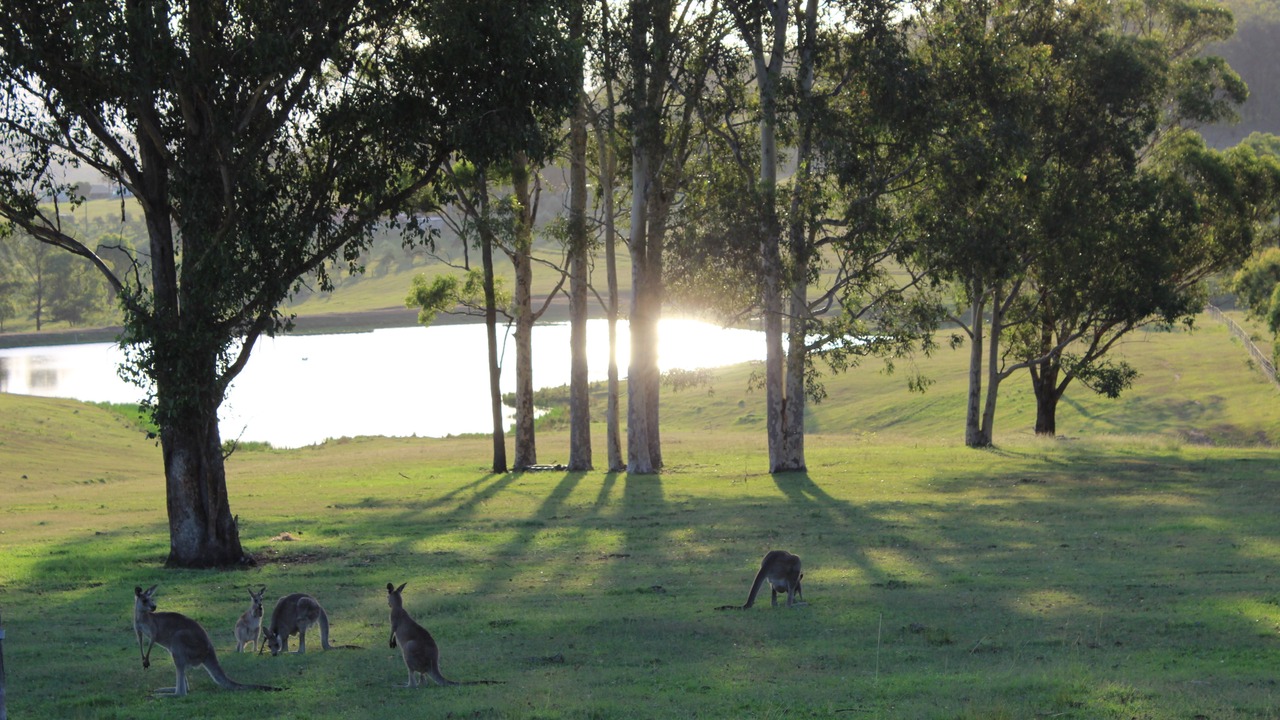 Photo of Others in Lovedale