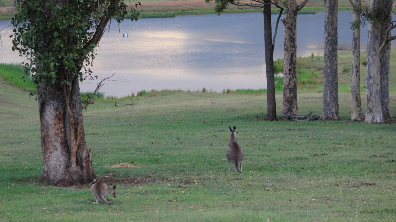 Photo of Others in Lovedale