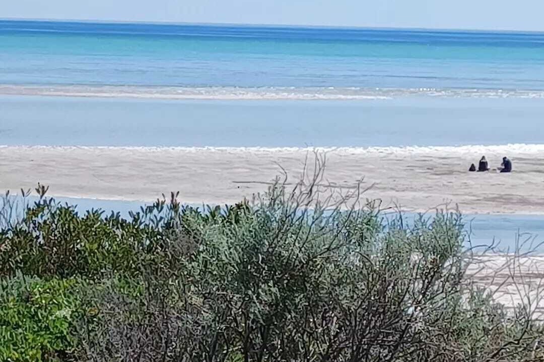 Photo of Others in Moorowie