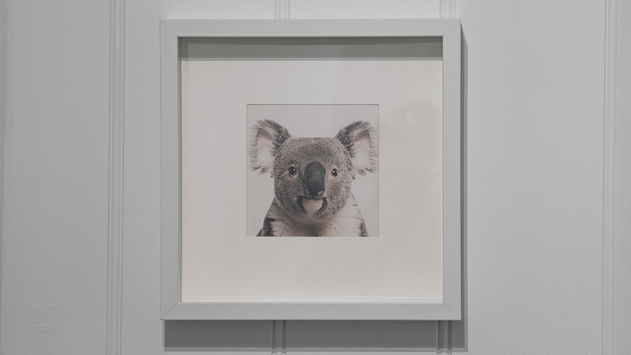 Photo of Livingroom in Surry Hills