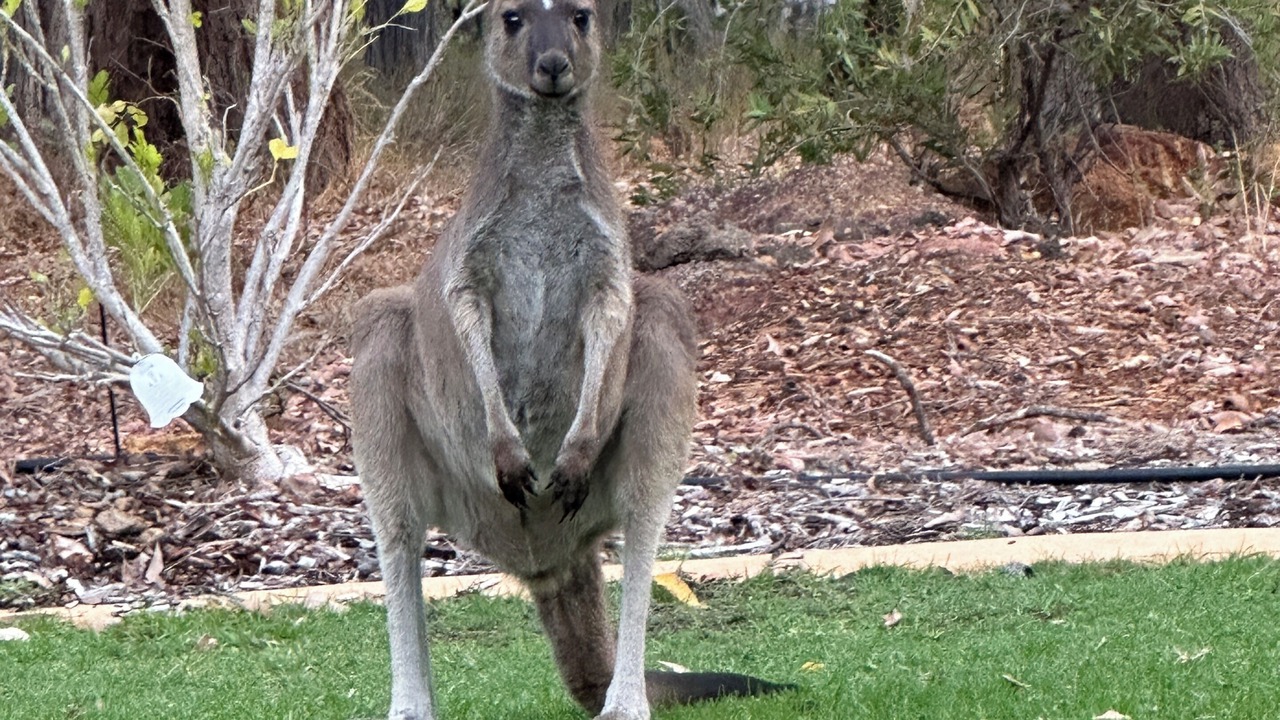 Photo of Others in Mount Helena