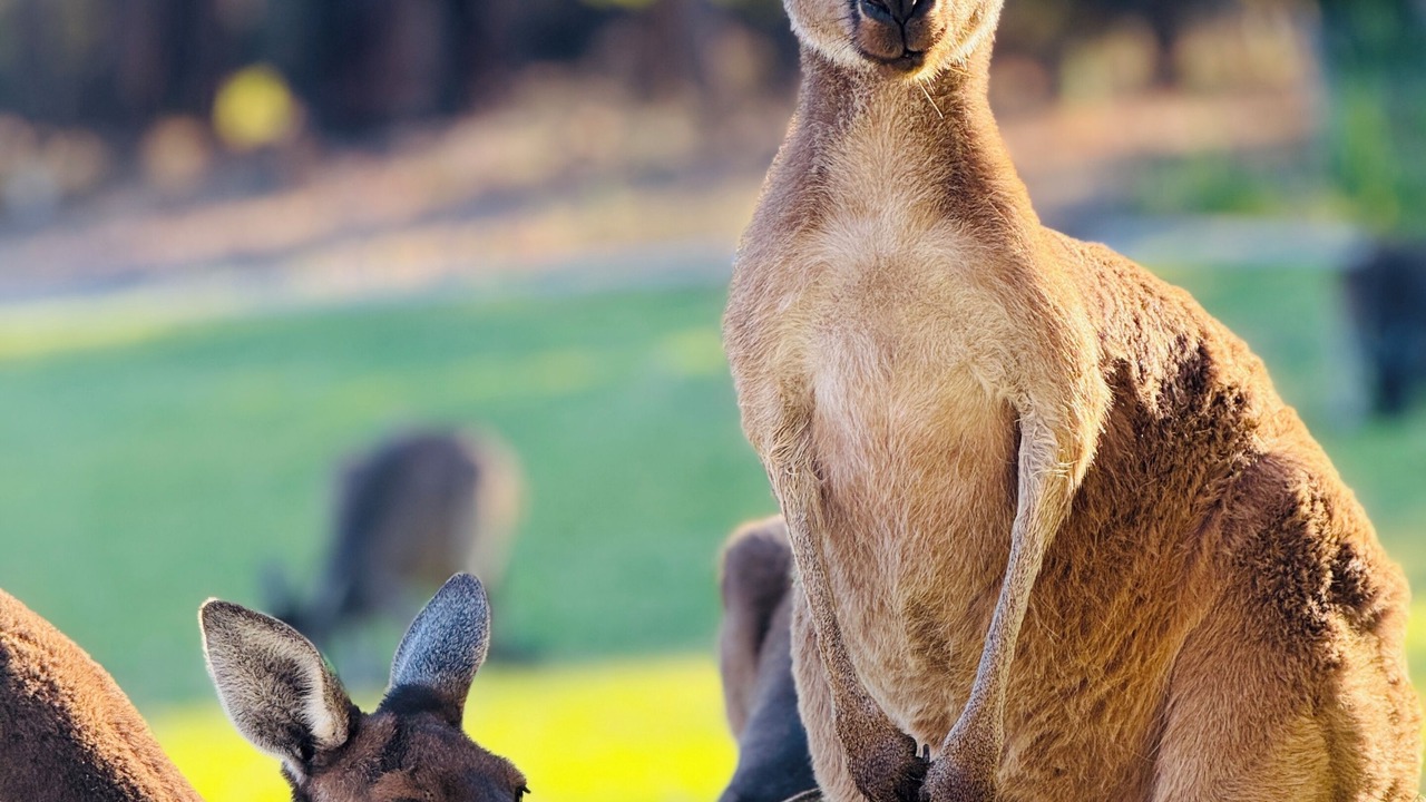Photo of Others in Mount Helena