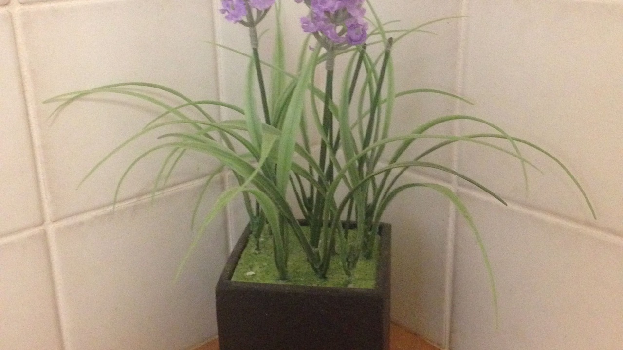 Photo of Bathroom in York