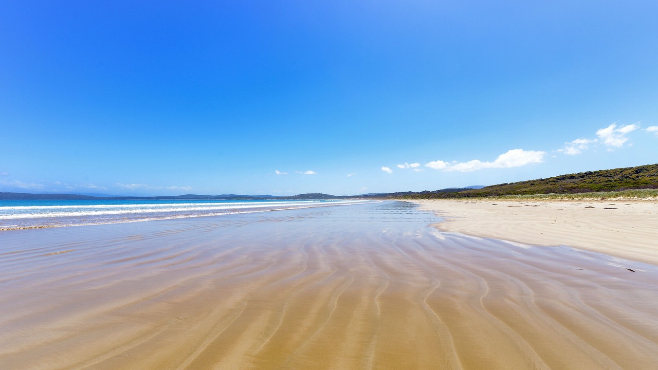 Photo of Others in South Bruny