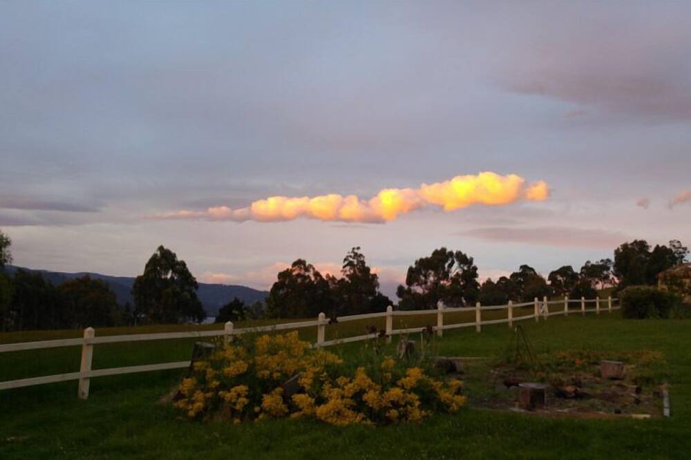 Photo of Others in Wattle Grove