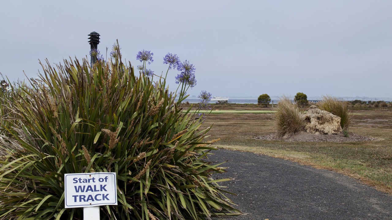 Photo of Outdoor in Swan Bay