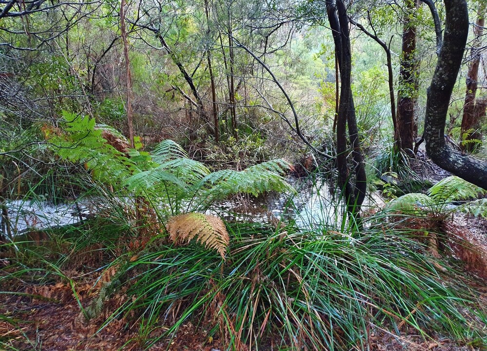 Photo of Outdoor in Claude Road
