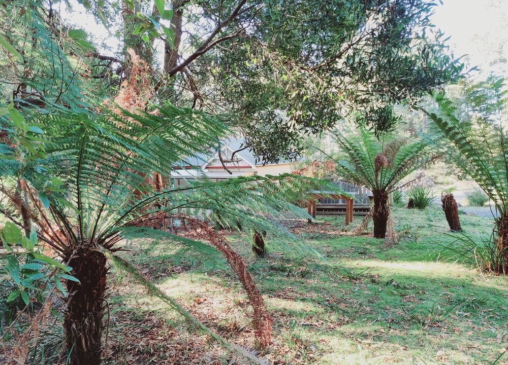 Photo of Others in Claude Road