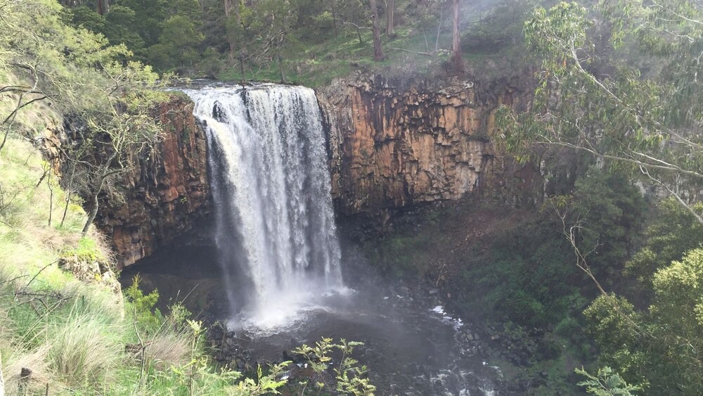 Photo of Outdoor in Spring Hill