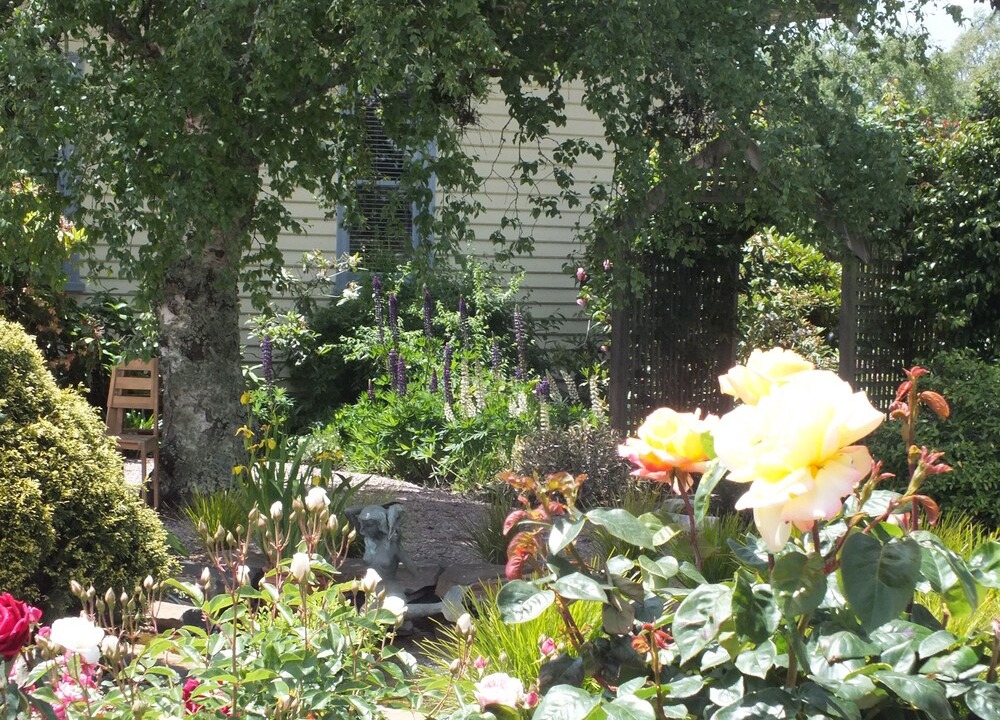 Photo of Outdoor in Barrington