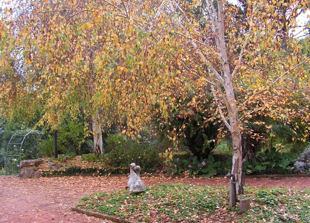 Photo of Outdoor in Nannup